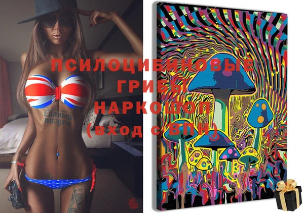 MDMA Premium VHQ Дмитриев