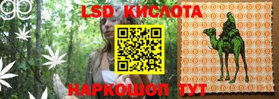 скорость Донской